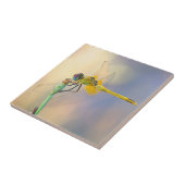 Multicolored Dragonfly Tegeltje (Zijkant)