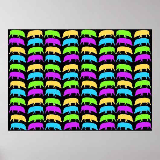Multicolored het Poster van Hogs (Voorkant)
