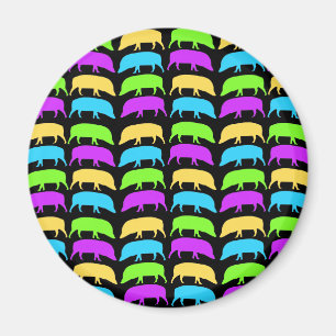 Multicolored Hogs Magnet Magneet