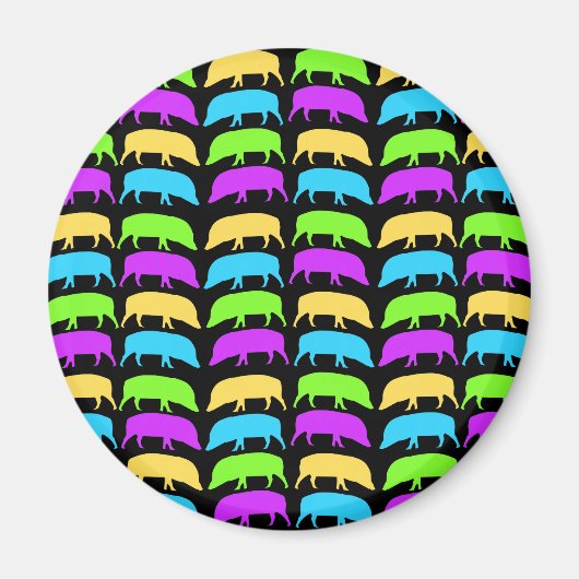 Multicolored Hogs Magnet Magneet (Voorkant)
