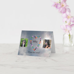 Multicolored Paw Print Heart Dog Sympathiekaart Kaart