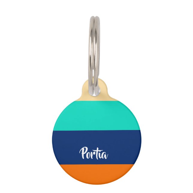 Multicolorlijnen gevlochten huisdierpenning (Voorkant)