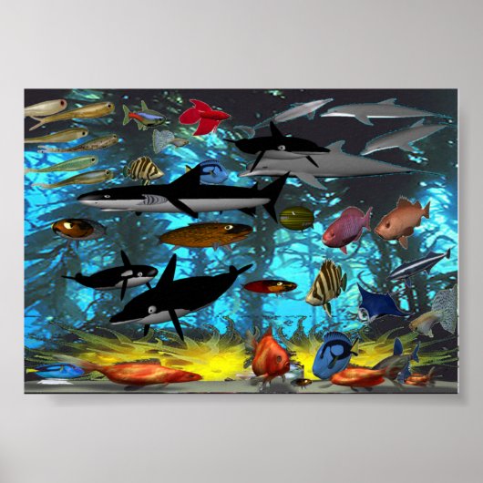 MULTIFISCH POSTER (Voorkant)