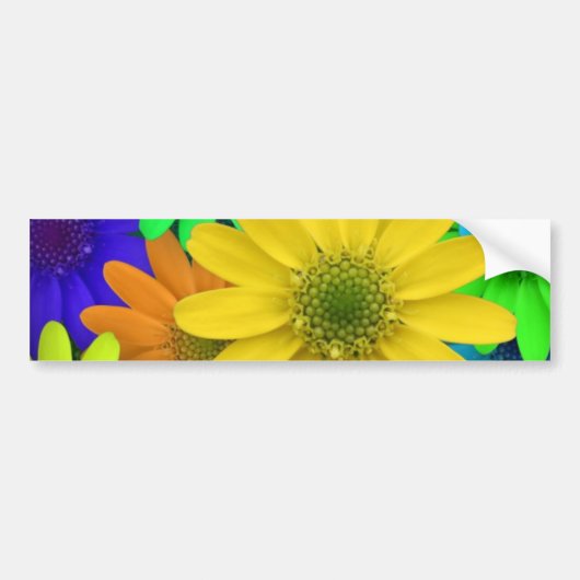 Multigekleurde dagen bumpersticker (Voorkant)