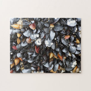 Multiple Mussel Shell Puzzle Legpuzzel