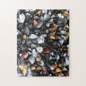 Multiple Mussel Shell Puzzle Legpuzzel (Verticaal)