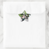Multnomah Gnome II Ster Sticker (Tas)