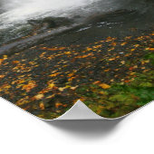 Multnomah Herfst 2 Poster (Hoek)