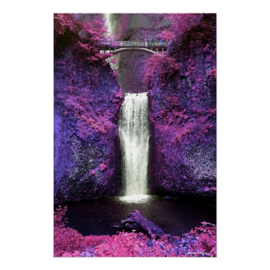 Multnomah Herfst Poster 18,67 x 28 inch Perfect Poster (Voorkant)
