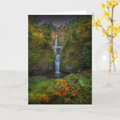 Multnomah Herfsten | Columbia River Gorge, Oregon Kaart (Gele Bloem)