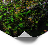 Multnomah-Herfsten, Columbia River Gorge, Oregon Poster (Hoek)