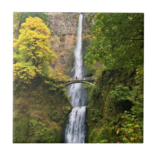 Multnomah-Herfsten, Columbia River Gorge, Oregon Tegeltje (Voorkant)