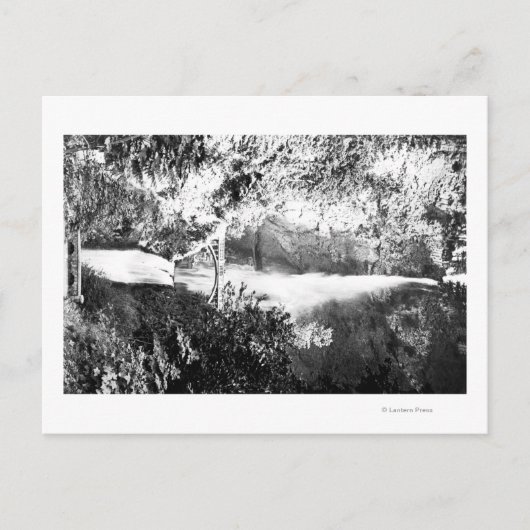 Multnomah-Herfsten-fotoColumbia River, OF Briefkaart (Voorkant)