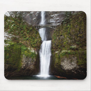 Multnomah-Herfsten in de Columbia Gorge Muismat