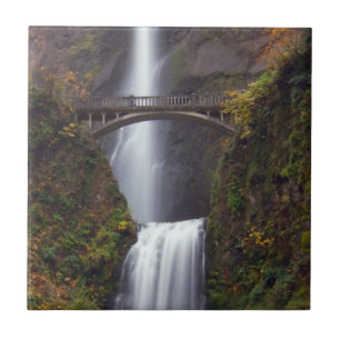 Multnomah-Herfsten in de late herfst Tegeltje