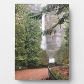 Multnomah-Herfsten, OF Fotoplaat (voorkant)