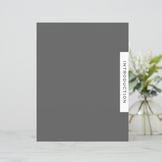 Multomap Sectie Divider | Inleiding | Grijs (Staand voorkant)