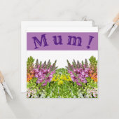 MUM ! Carte (Devant/Arrière en situation)