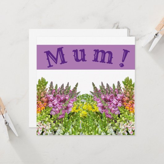 MUM ! Carte (Devant/Arrière en situation)