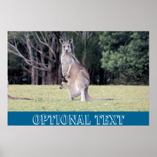 Mum Kangaroo met Baby Joey in haar zak Poster