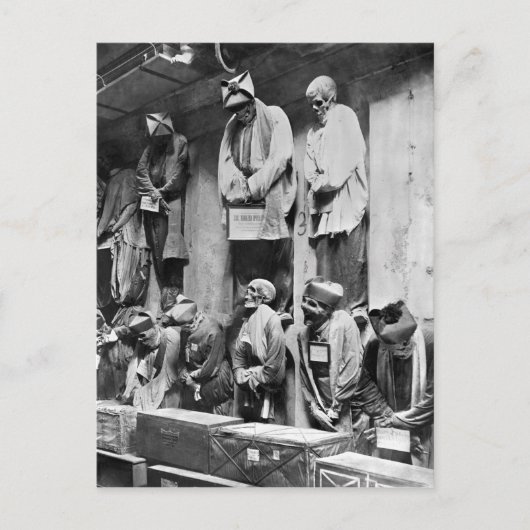 Mummies van catacomb in Palermo, Italië Briefkaart (Voorkant)