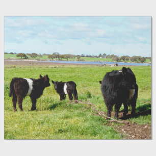 Mummy En Baby Galloway Koe, Cadeaupapier