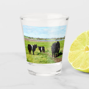 Mummy en Baby Galloway Koe, warm glas