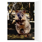 Mummy Quokka Watercolour, Birthday (Intérieur (Gauche))