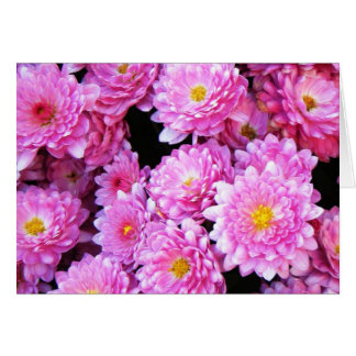 " Mums"