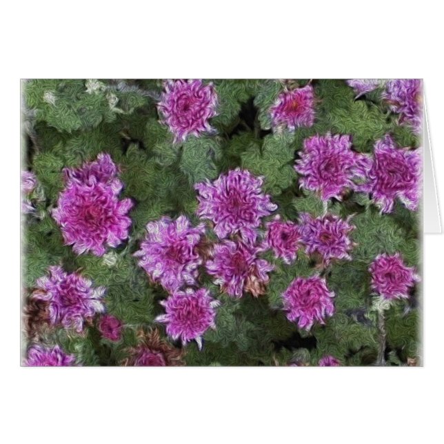 Mums (Voorkant Horizontaal)