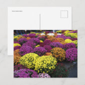 Mums Briefkaart (Voorkant / Achterkant)