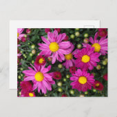 Mums Briefkaart (Voorkant / Achterkant)