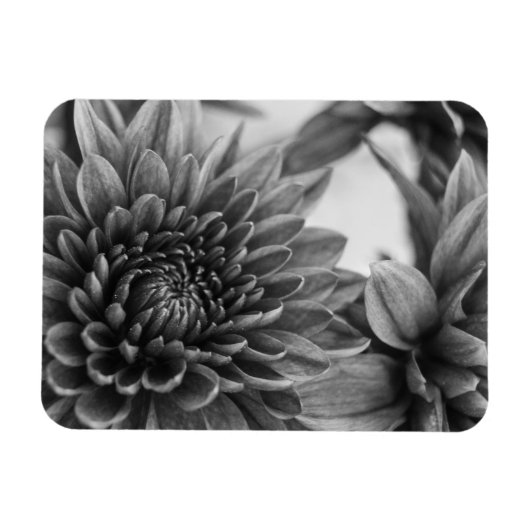 Mums Magneet (Horizontaal)