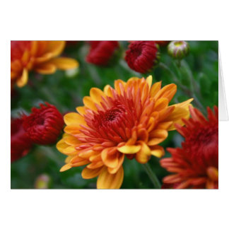 Mums on Fire