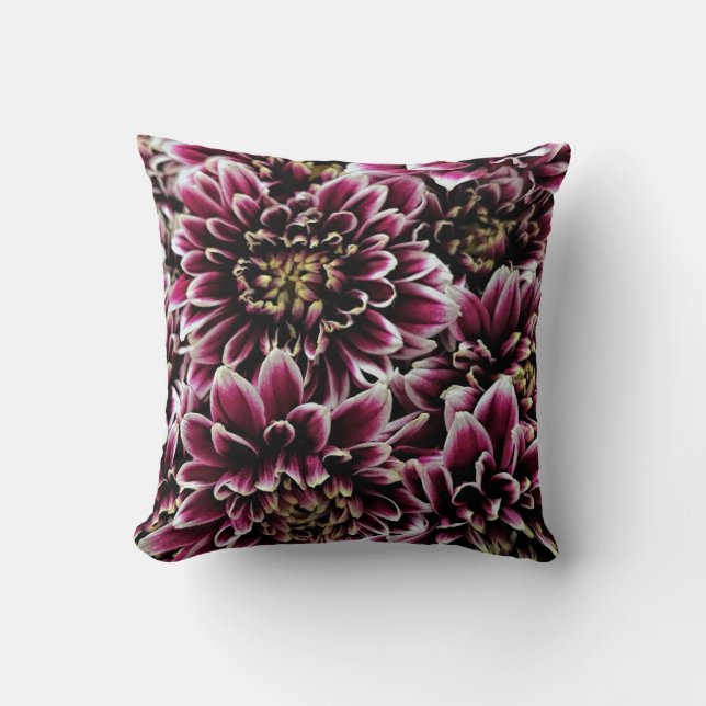 Mums pourpres - coussin (Recto)