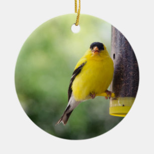Munching Goldfinch Keramisch Ornament