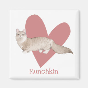 Munchkin Cat Waterverf Kat Roze hart Magneet