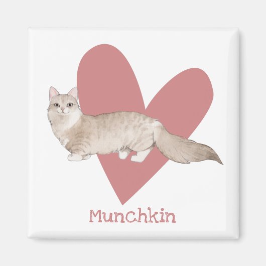 Munchkin Cat Waterverf Kat Roze hart Magneet (Voorkant)