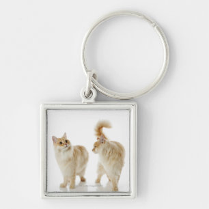 Munchkin-katten Sleutelhanger