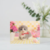 Munchkin Kitten Briefkaart (Staand voorkant)