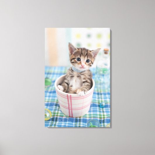 Münchkin Kitten met  lint Canvas Afdruk (Voorkant)