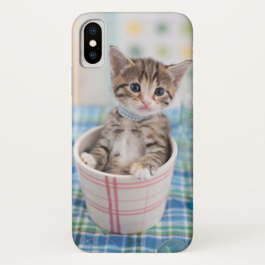 Münchkin Kitten met  lint Case-Mate iPhone Case (Achterkant)