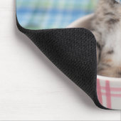 Münchkin Kitten met  lint Muismat (Hoek)