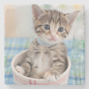 Münchkin Kitten met  lint Stenen Onderzetter