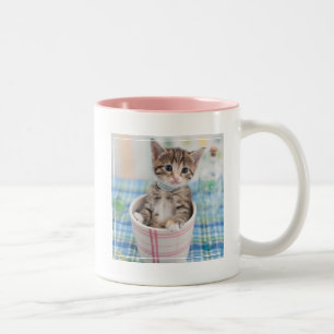 Münchkin Kitten met lint Tweekleurige Koffiemok