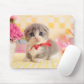 Munchkin Kitten Muismat (Met muis)