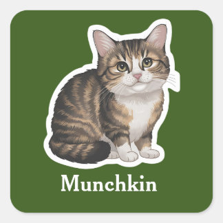 Munchkin Vierkante Sticker