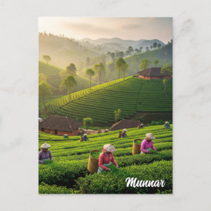Munnar Kerala India Theeplantage Briefkaart