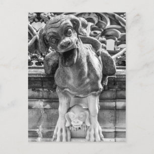 Munster Cathedral Gargoyle - Bern - Zwitserland Briefkaart