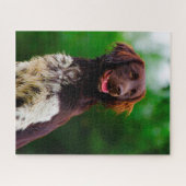 Munsterlander Dog. Legpuzzel (Horizontaal)